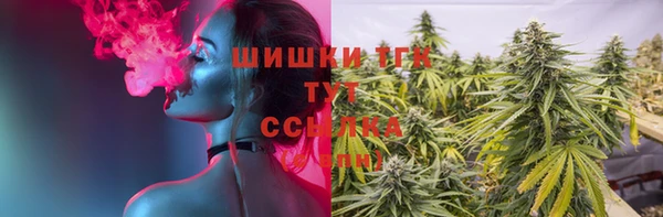 mdpv Медвежьегорск