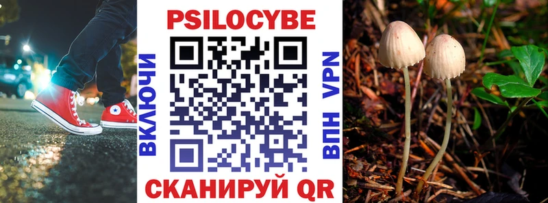 Псилоцибиновые грибы прущие грибы где найти наркотики гидра рабочий сайт Хвалынск